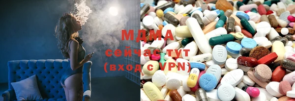прущие грибы Сосновый Бор