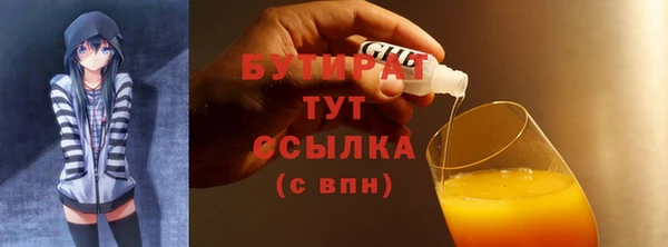 прущие грибы Сосновый Бор