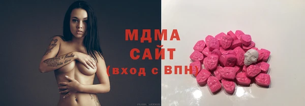 прущие грибы Сосновый Бор