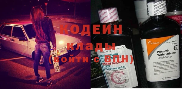прущие грибы Сосновый Бор