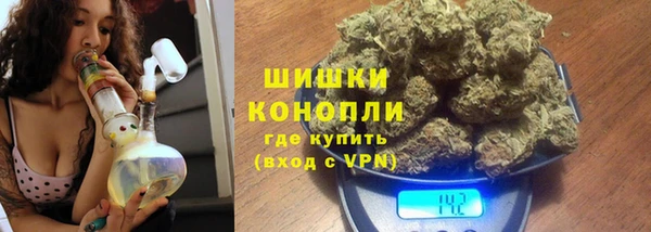 прущие грибы Сосновый Бор