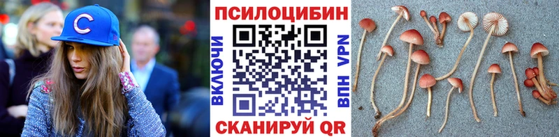 Галлюциногенные грибы прущие грибы  Купить  Лесной 